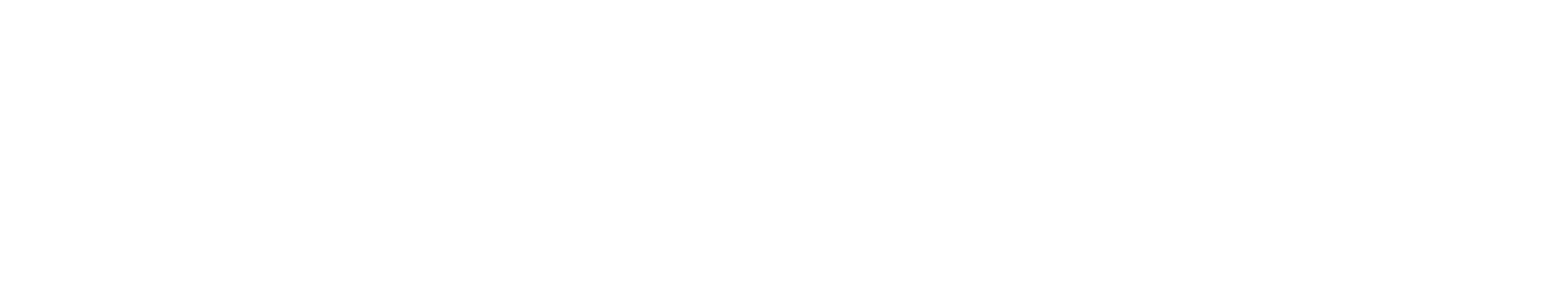 Quantum 400