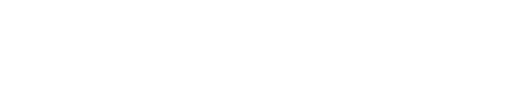 Quantum 600