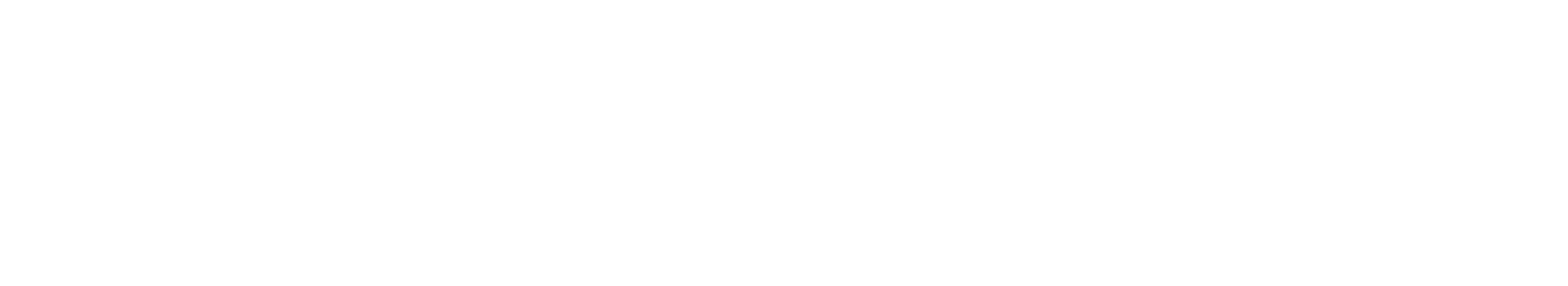 Quantum 800
